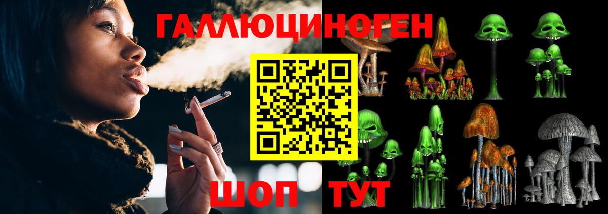 Камышин  Галлюциногенные грибы прущие грибы  Вход с VPN 